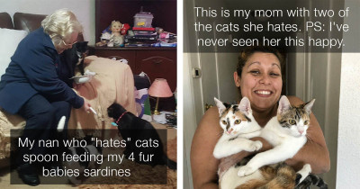 These People Insisted They Didn't Want Cats But It Turned Out They Were Totally Wrong