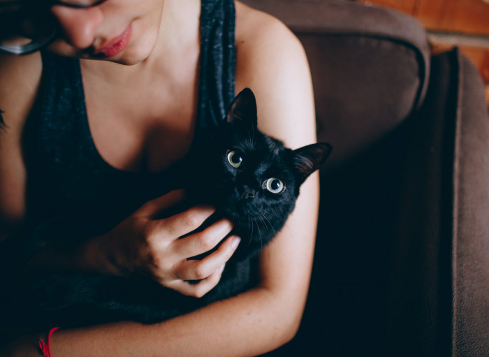 Black cats tend to skew toward one gender