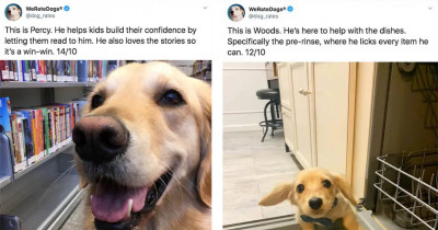Viral Dog Posts Deserve To Have All Eyes On Them This Week