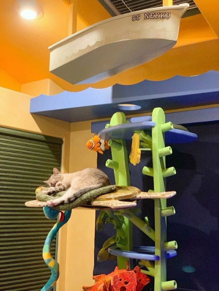 A palace for over 20 cats he rescued.