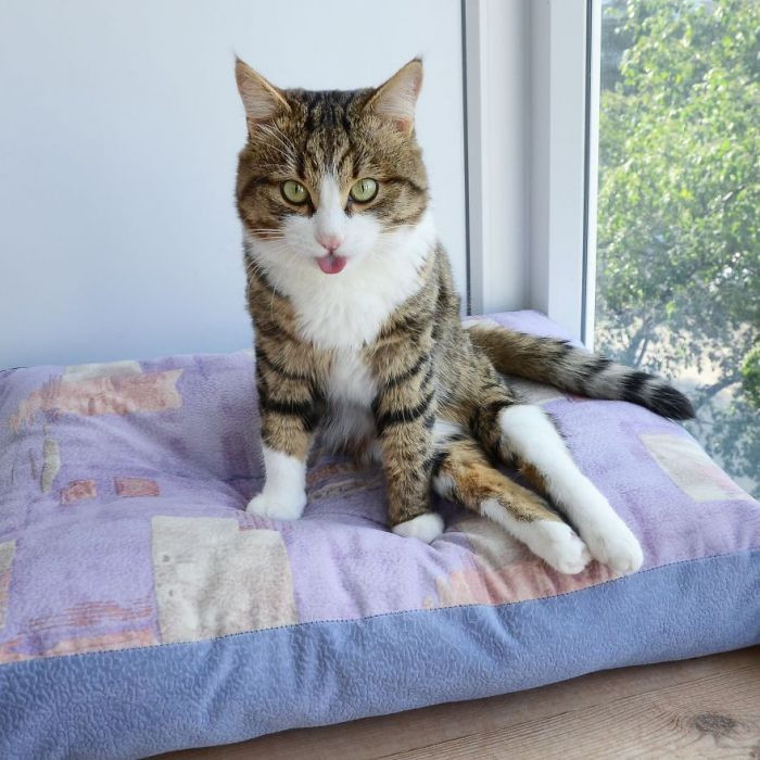 You can't be serious