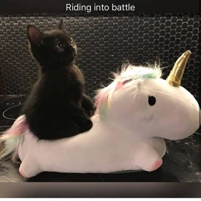 3. A glorious sight to behold.