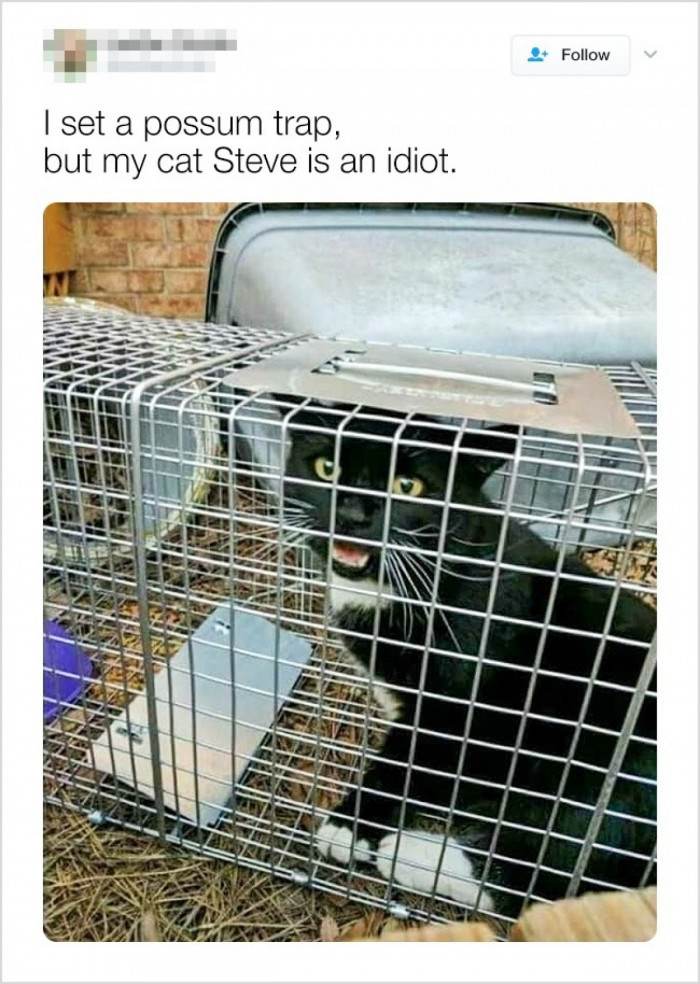 He also wanted to see what it's all about