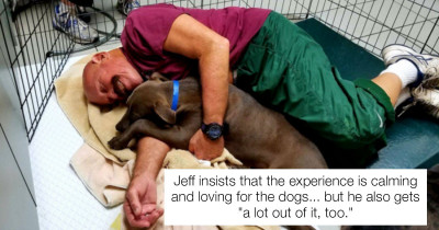 Florida Dog Shelter Desperately Needs People To Come Snuggle Shelter Dogs