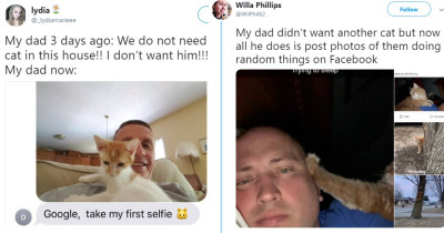 Dads Who Originally Did Not Want a Cat, But Came Around to the Idea