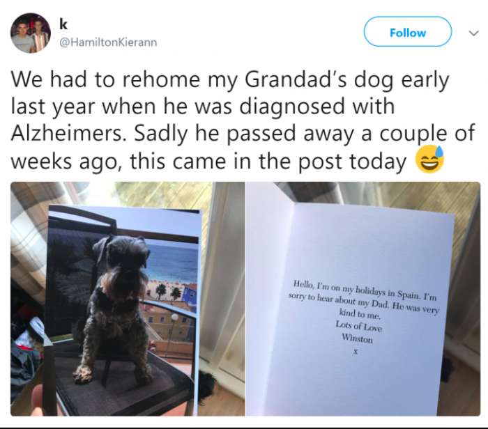 2. Dog People… You Gotta Love Them.