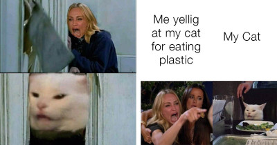 These Are The Best "Woman Yelling at a Cat" Memes We've Ever Seen