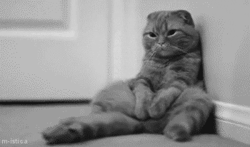 However, for those of us who live alone with just our cats (which is kind of a lot of us...)