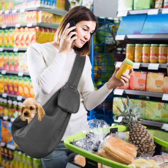 Pet Carrier for Cats (& Small Dogs)