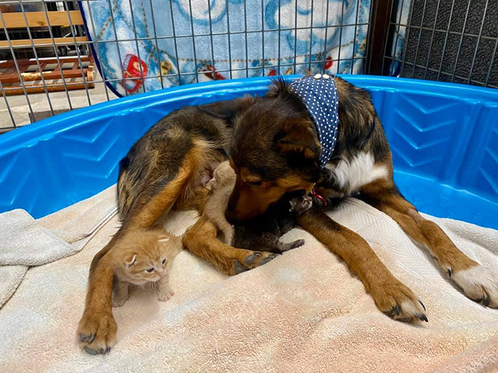 All is well that ends well.