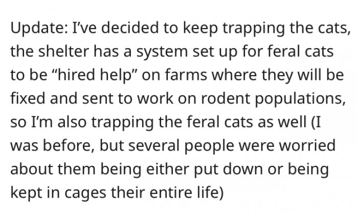 Eventually, the original poster decided that it was best for her to continue trapping the cats and surrendering them to the shelter.