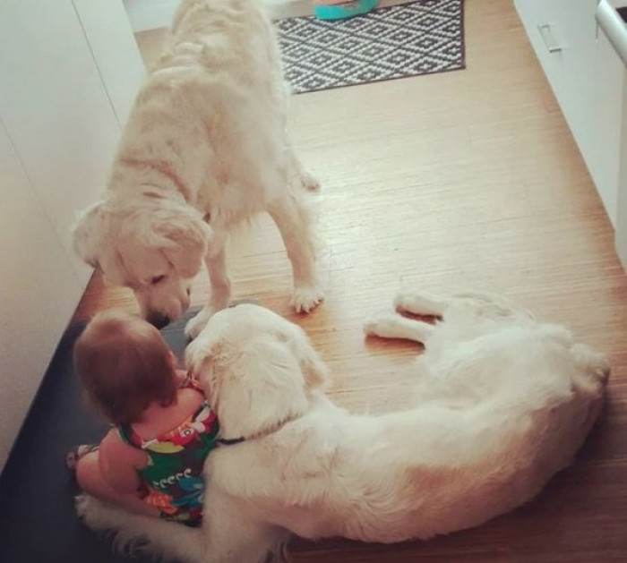 Family members and pets gathered indoors, smiling after the toddler’s safe return