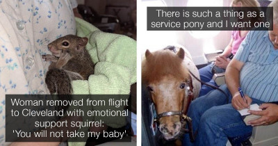 These People Went Overboard With Their Ridiculous Emotional Support Animals