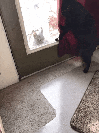 12. Covering up the evidence.