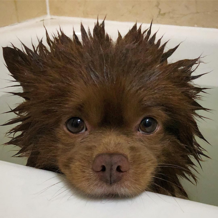 21. Bath time.