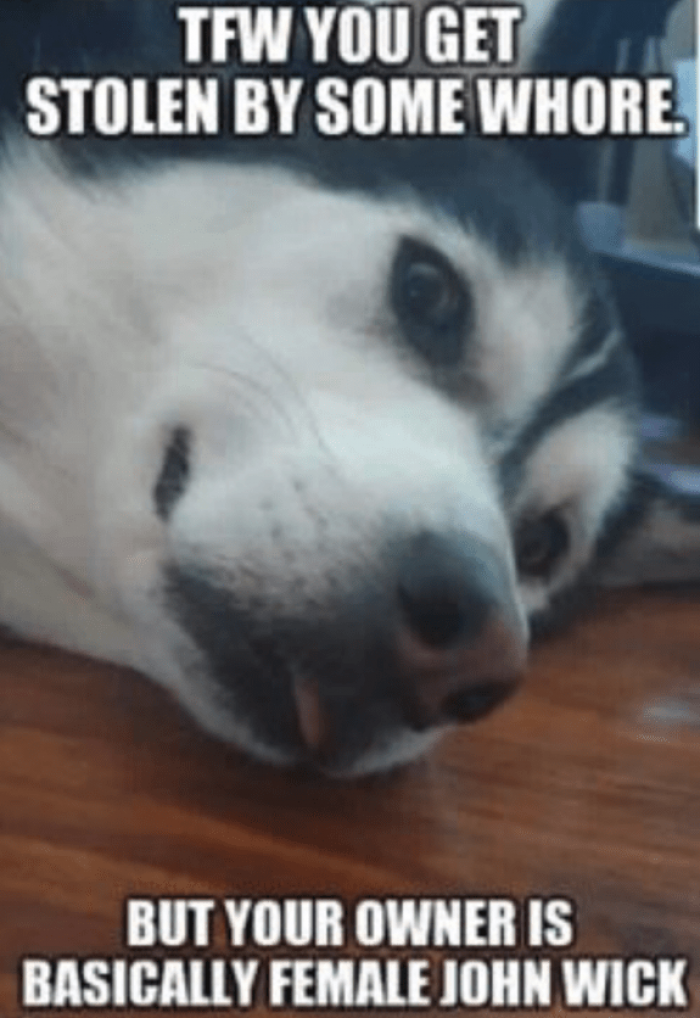 And of course, in true Reddit fashion...