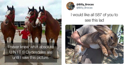 Photos That Will Remind You Just How Huge Some Animals Really Are