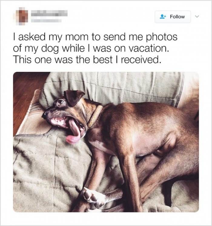 He looks like something out of this world