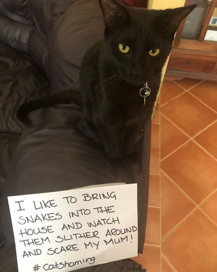 26. "Let’s Not Forget About The Other Sketchy Character Living In Our House"