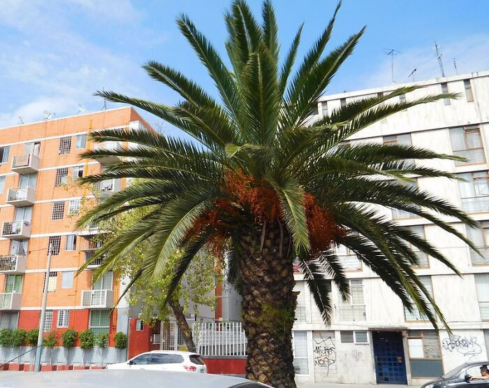 29. A lollipop story