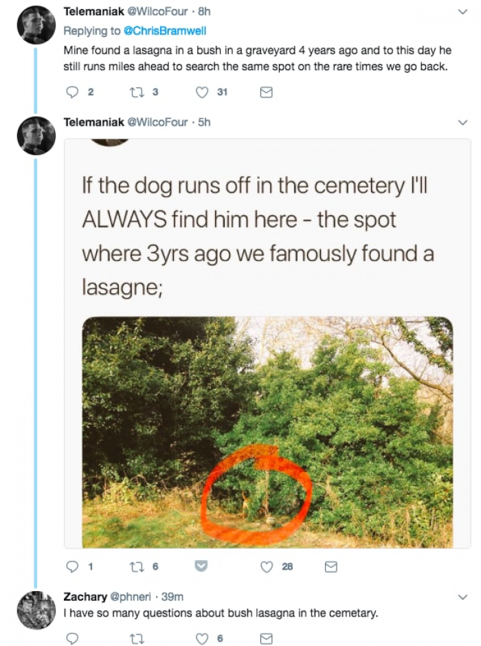 16. I wonder how the lasagna got there?