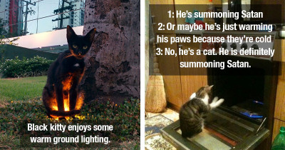 Interesting Cats Caught In Photos That Implicate Them As Evil