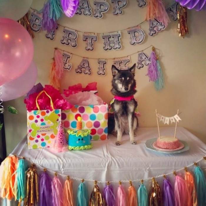 5. A birthday party!