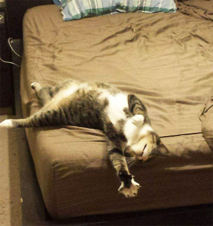 1. "I'm so tired, guys!"