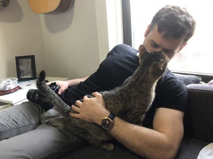 Cat and kittens huddled together, warm shelter within a home interior