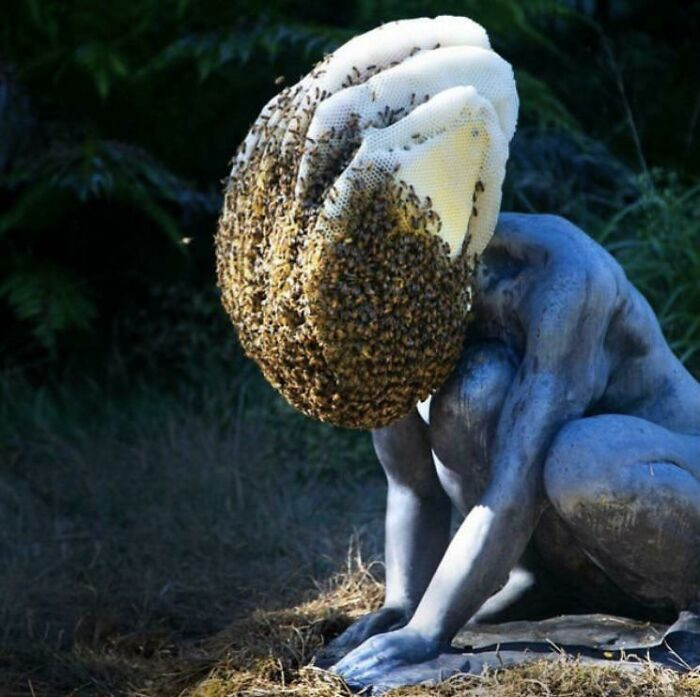 50. A Statue With A Beehive For A Head