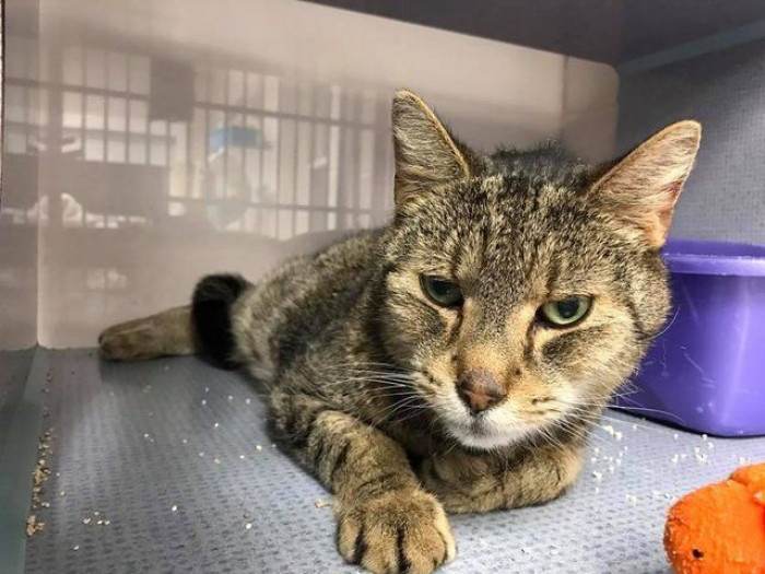 Two Long Years Later...