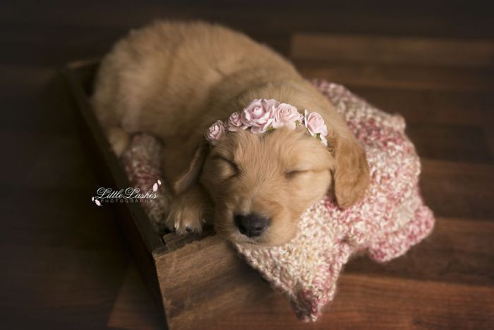 He slept throughout the whole thing; how rude!