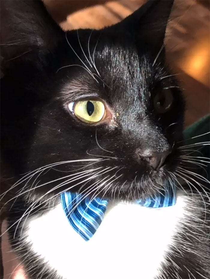 Meet Wyatt, a handsome boy who recently got adopted by a family that loves him like crazy