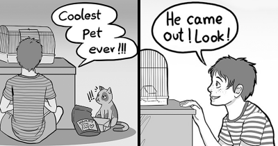 Illustrator Famous For Her Heartbreaking Animal Comics Just Released Her Latest Work, And This Time She Is Talking About Neglected Hamsters
