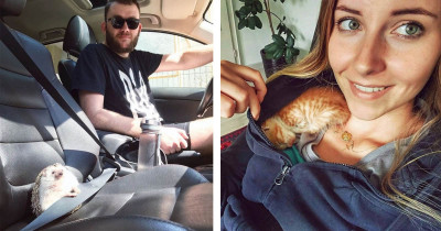 Animals Know Just Where Their Bodies Will Fit for the Comfiest Spots to Hang Out, and the Proof Is Downright Adorable