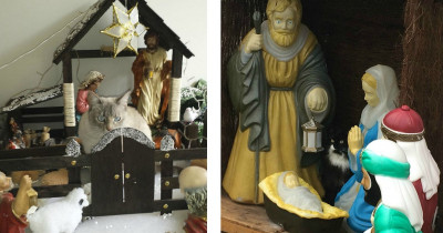 Cats That Regretted NOTHING When They Crashed Nativity Scenes