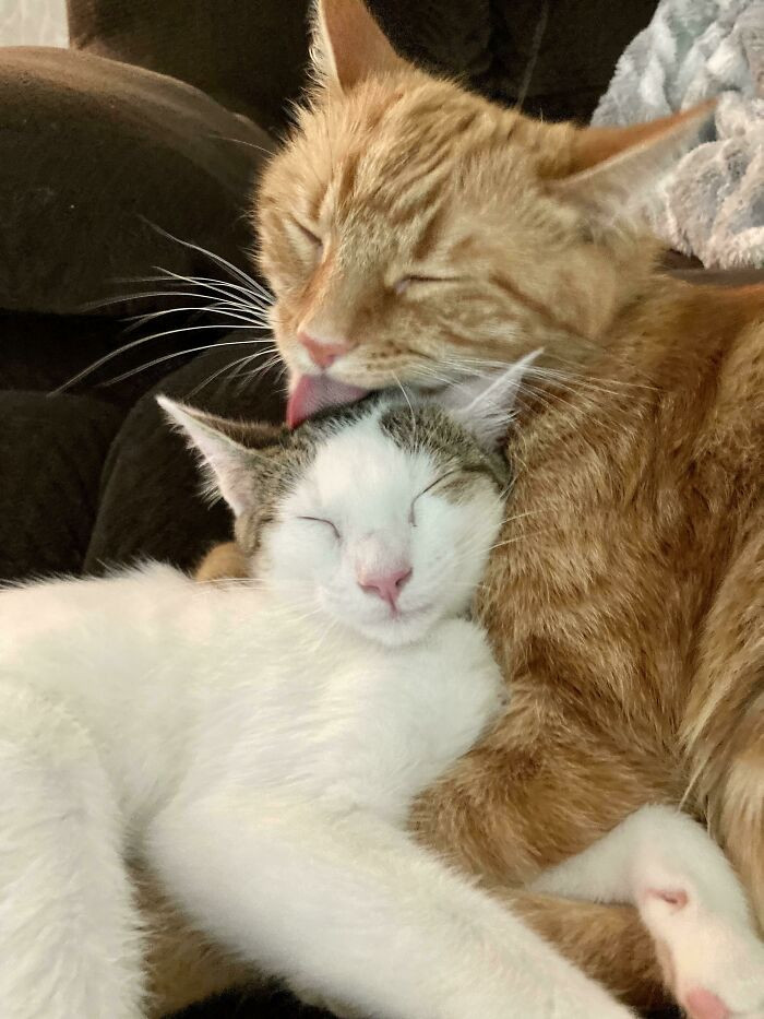 7. Besties!