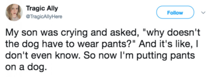 That dog has got to be confused by that.