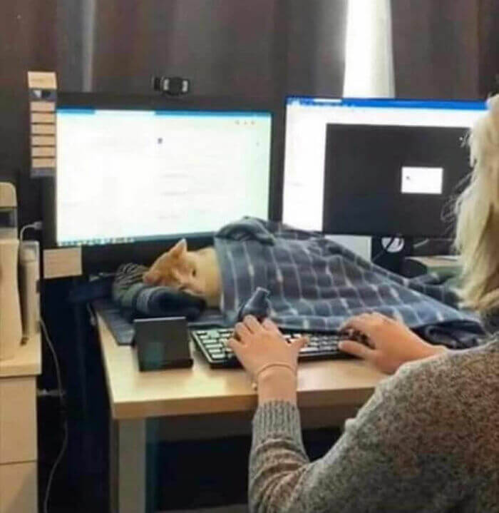 20. Benefits of working from home.