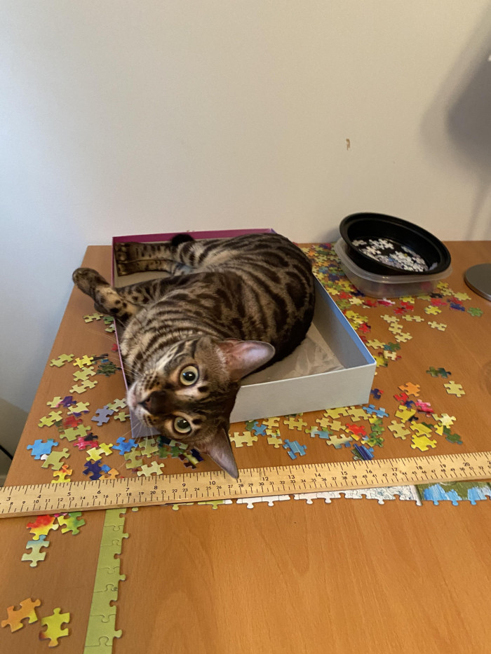 15. "Ok... now I know why my boxes are deformed!"