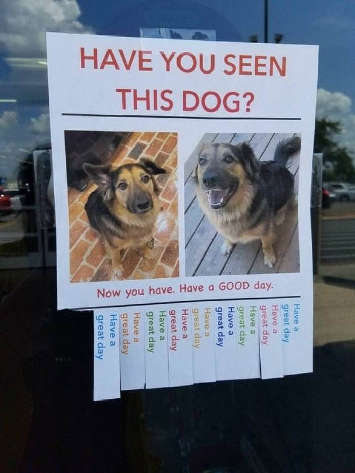 12. Such a good boy!