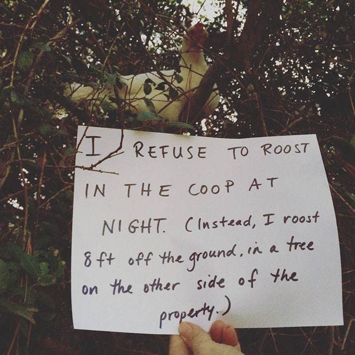 14. DO. WHAT. I. WANT.