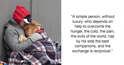 When A Homeless Man Went Into Hospital, His Stray Dogs Waited Outside For Him