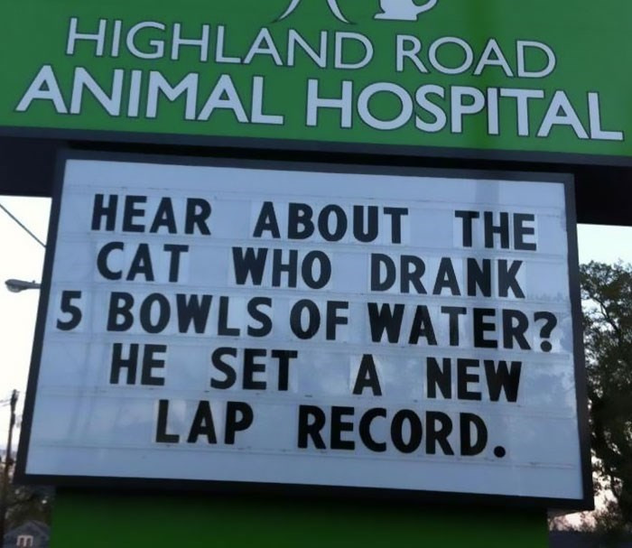 12. Lap it up.