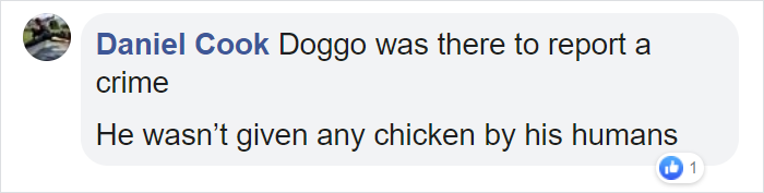 The audacity of those humans!