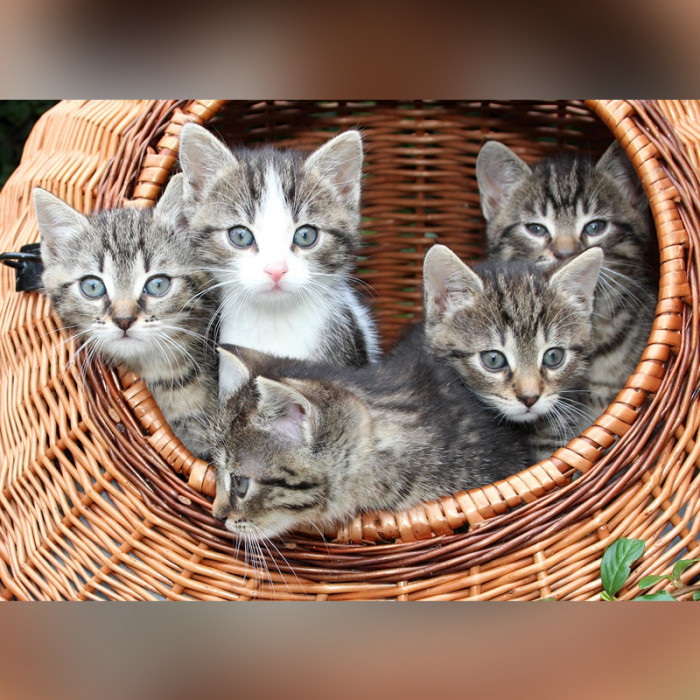 Meet 13-Year-Old Lucinda