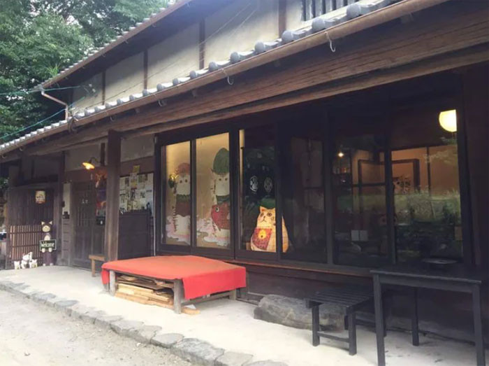 When vising the Nyan Nyan Temple in Kyoto, you will greeted by the current cat monk named Koyuk.