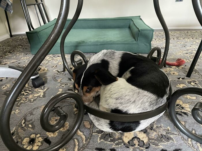45. "Warm, Comfy Bed? No. Cold, Steel Ring? Yes"