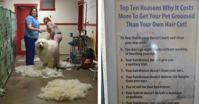 If You've Ever Wondered Why The Groomer Costs More Than The Hairdresser, This Sign Should Explain Everything