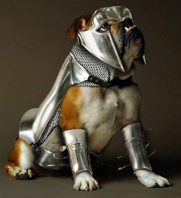 5. Do you feel like you need someone to defend your honor?